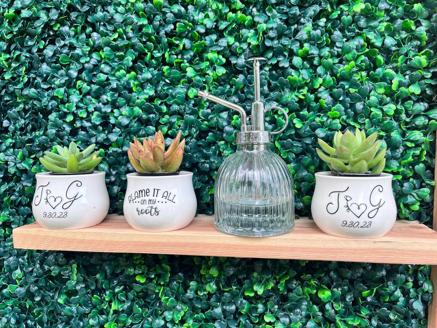 Succulents Planter “ Custom Wedding Favors “