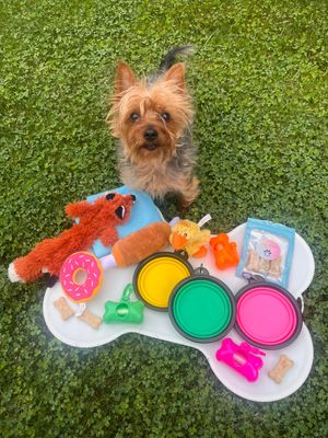Paws Welcome Pack