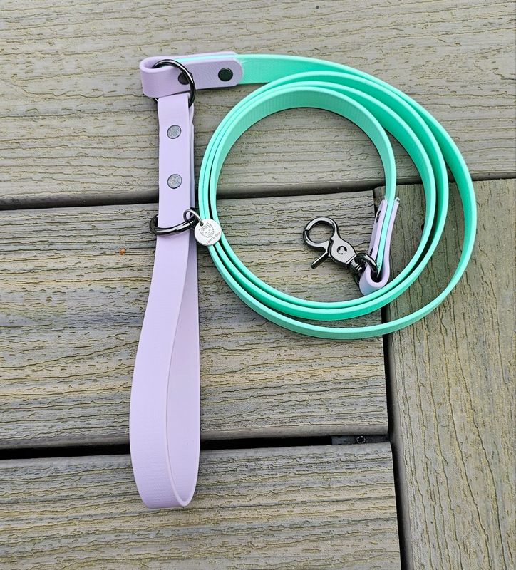 Two Tone Lavender &amp; Cream Mint  Biothane Dog Leash