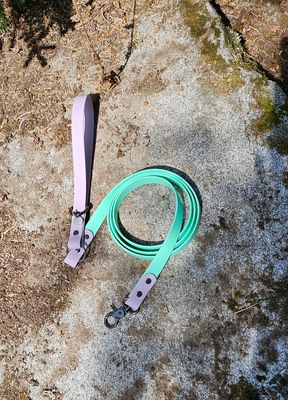 Two Tone Lavender &amp; Cream Mint  Biothane Dog Leash