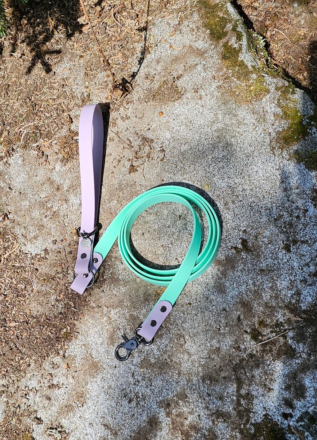 Biothane Dog leash-Purple /Mint