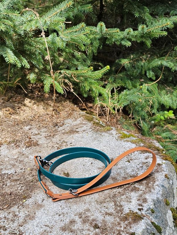 Biothane Dog leash- Two tone color Hunter Green/Brown