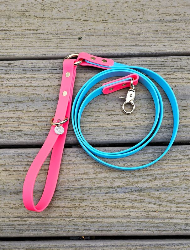 Two Tone Blue &amp; Hot Pink  Biothane Dog Leash