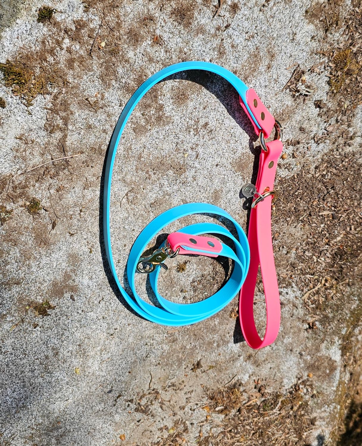 Biothane Dog leash  Pink / Blue