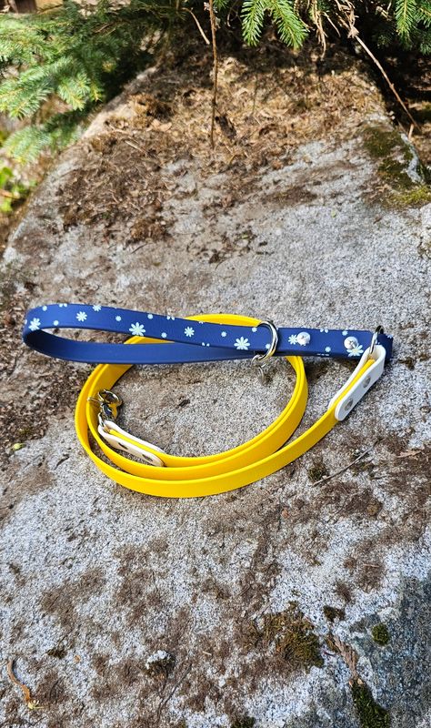 Daisy Bloom Biothane Dog Leash – Limited Edition