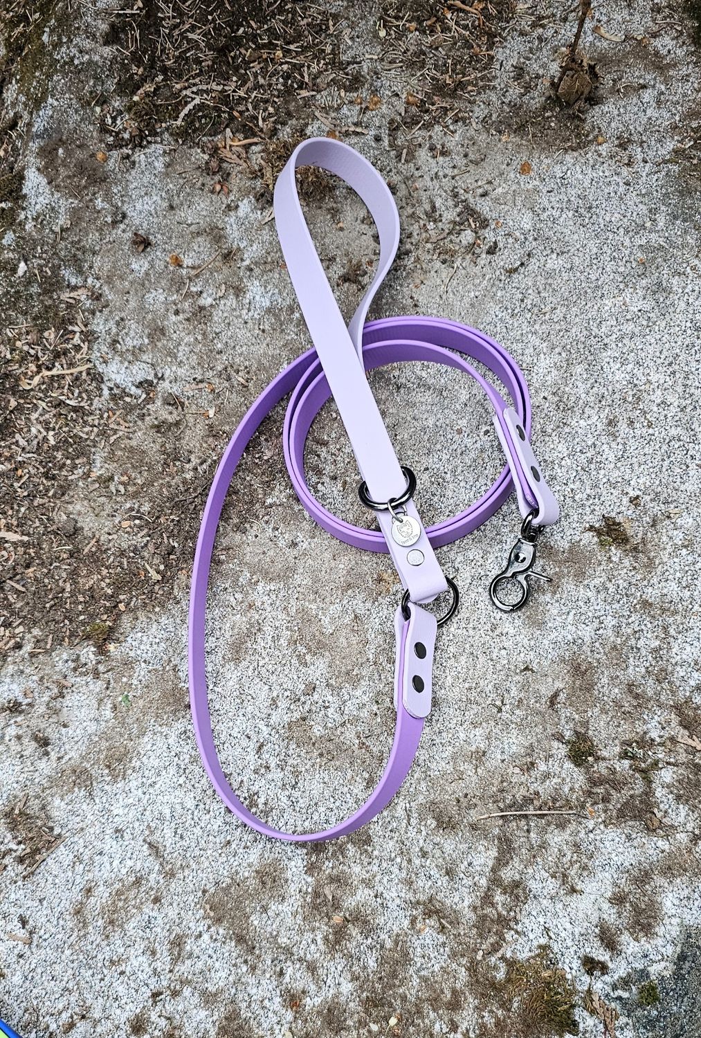Biothane Two-tone dog leash Lavender/Purple 