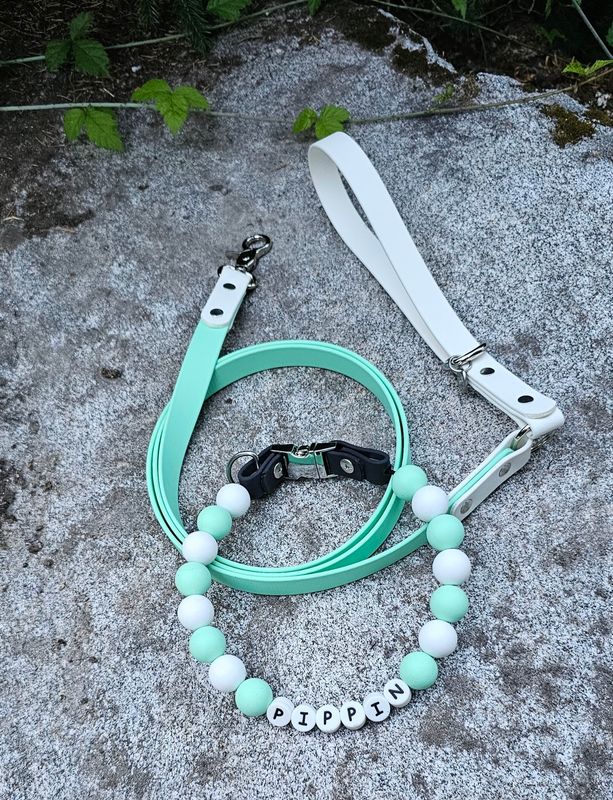 Personalized Silicone Beaded Dog Collar &amp; Matching 5ft Biothane Leash Set