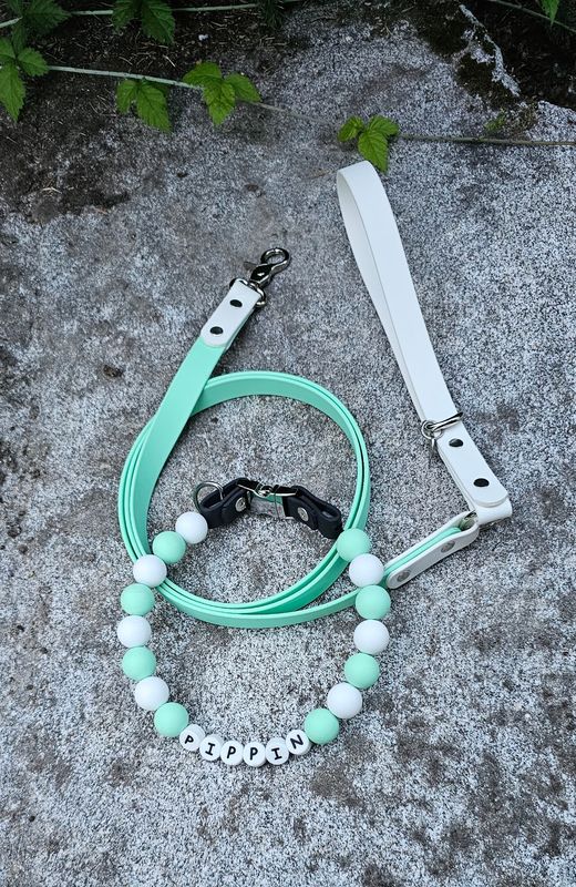 Personalized Silicone Beaded Dog Collar &amp; Matching 5ft Biothane Leash Set