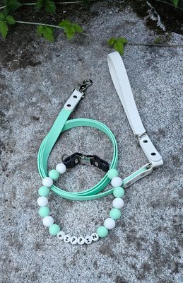 Personalized Silicone Beaded Dog Collar &amp; Matching 5ft Biothane Leash Set