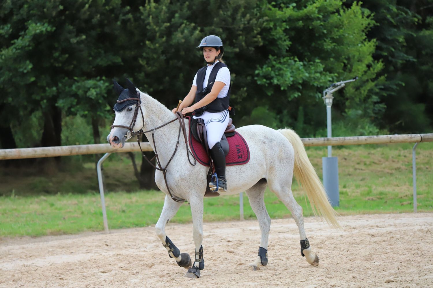 Tapis de selle Summer Glitter bordeaux