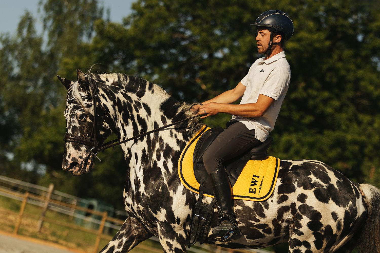 Tapis de selle winter glitter Jaune