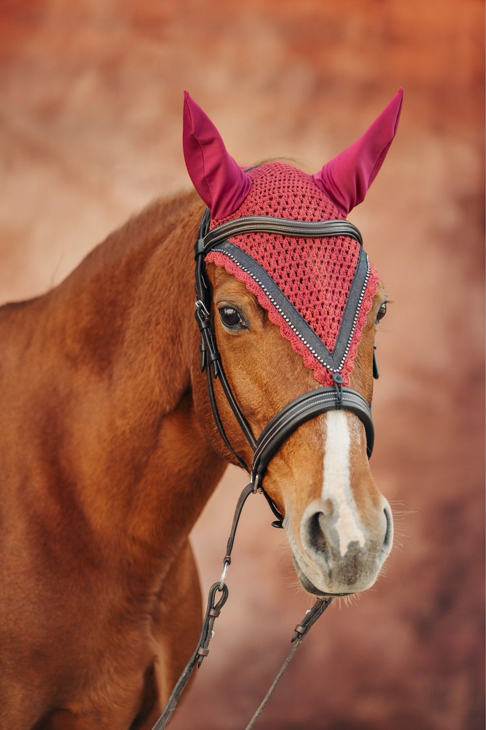 Bonnet long bordeaux