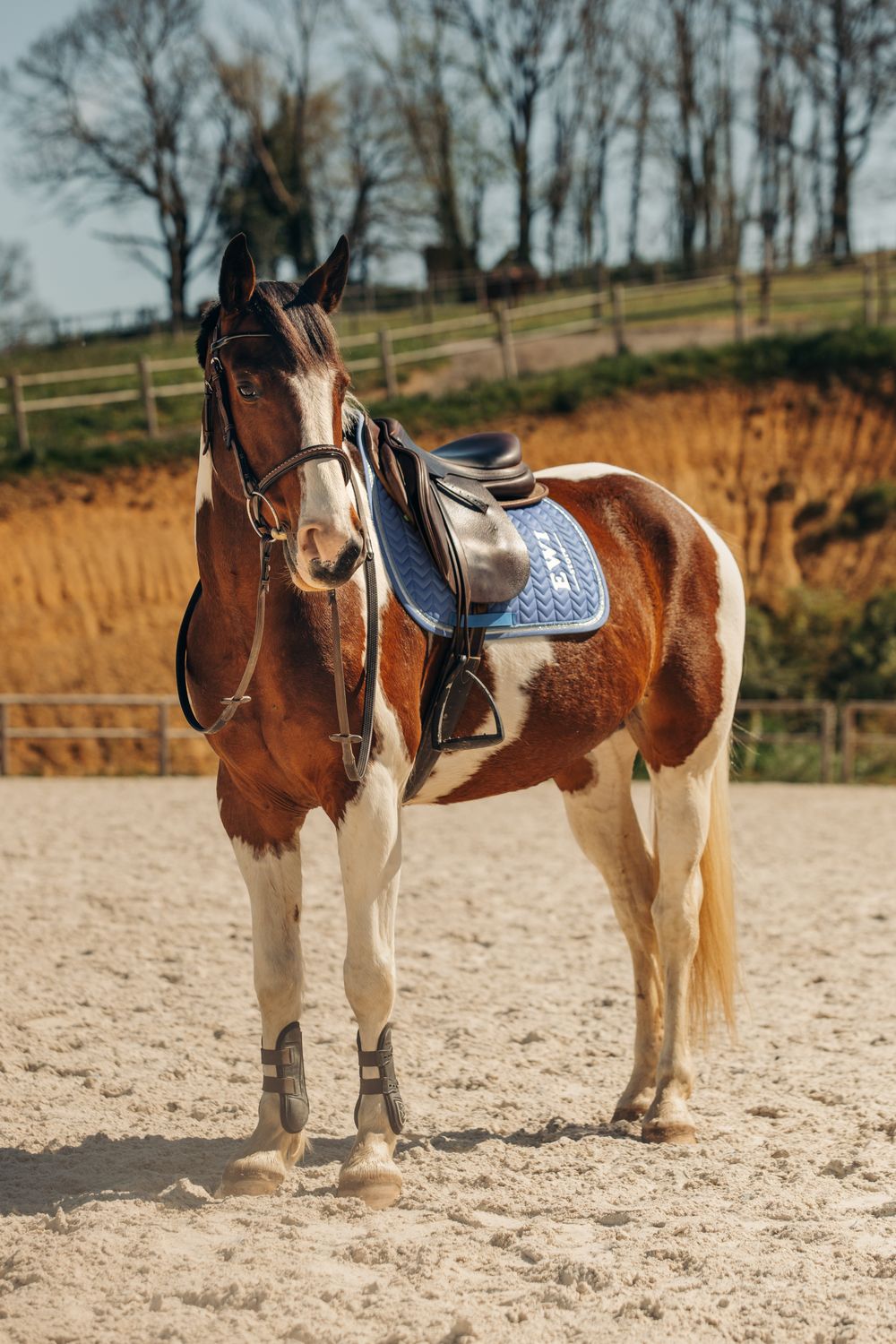 Tapis de selle Bleu Francais