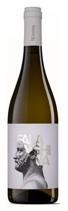 FALANGHINA I.G.T. FALANGHINA I.G.T.