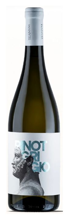 PINOT GRIGIO I.G.P. PINOT GRIGIO I.G.P.