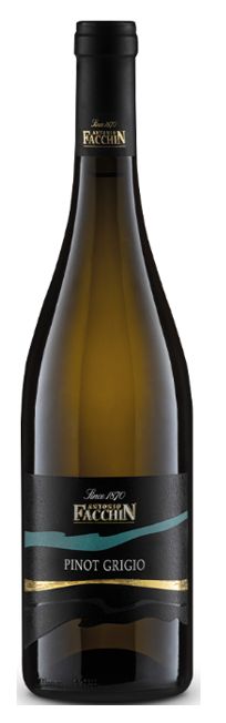 PINOT GRIGIO