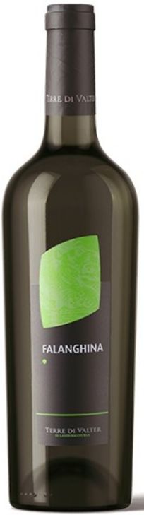 FALANGHINA I.G.T. FALANGHINA I.G.T.