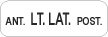 Ant. LT. LAT. Post.