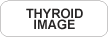 Thyroid Image