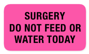 Surgery Do Not Feed or Water Label