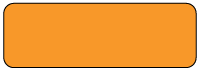 Blank (ORANGE) Anesthesia Label