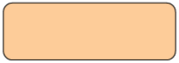 Blank (Salmon) Syringe Label