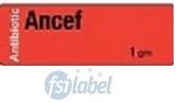 Ancef 1gm Antibiotic Syringe Label