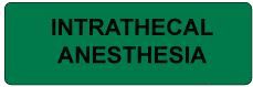 Intrathecal Anesthesia Label