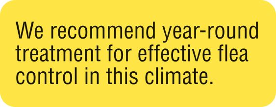 WE RECOMMEND YEAR-ROUND TREATMENT