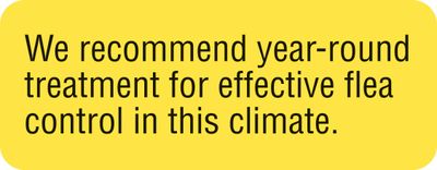 WE RECOMMEND YEAR-ROUND TREATMENT WE RECOMMEND YEAR-ROUND TREATMENT