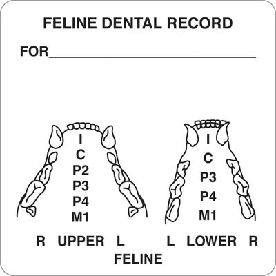 FELINE DENTAL RECORD (Diagram Only) Labels