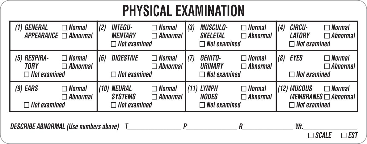 PHYSICAL EXAMINATION Labels PHYSICAL EXAMINATION Labels