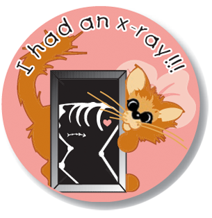 I had an X-ray Kiddie Stickers