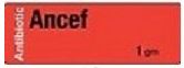 Ancef 1gm Antibiotic Syringe Label