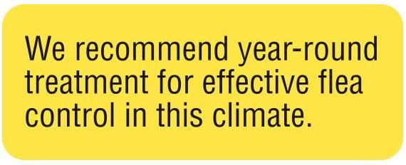 WE RECOMMEND YEAR-ROUND TREATMENT WE RECOMMEND YEAR-ROUND TREATMENT