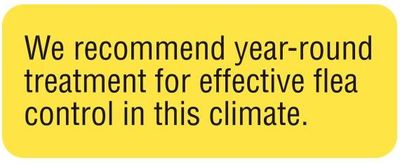 WE RECOMMEND YEAR-ROUND TREATMENT