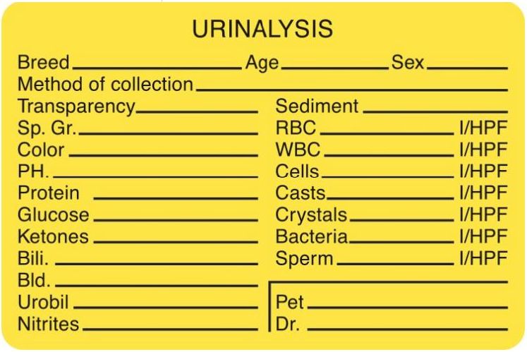 Urinalysis Labels Urinalysis Labels