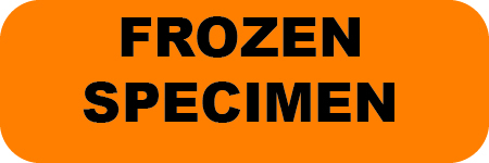 Frozen Specimen Frozen Specimen