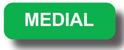 Medial Medial