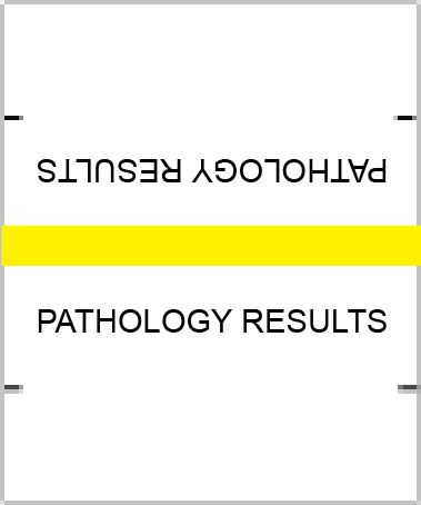 Pathology Results Index Tab Labels Pathology Results Index Tab Labels