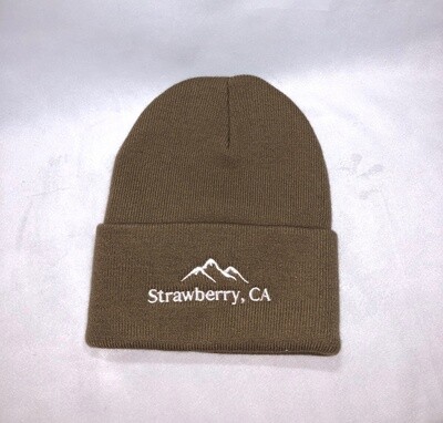 Brown Beanie
