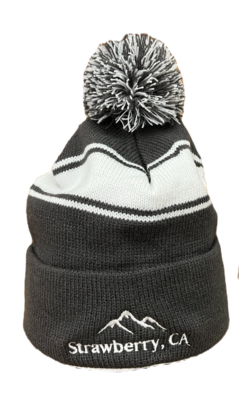 Gray/White Pom Pom Beanie
