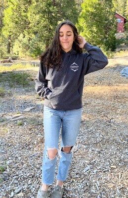 Store Hoodie Grey - 3x