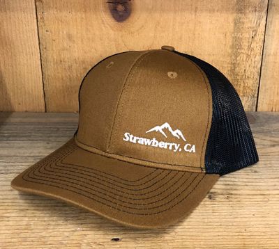 Brown/Black Trucker hat