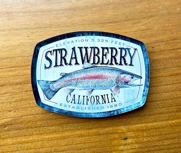 Rainbow Trout Magnet