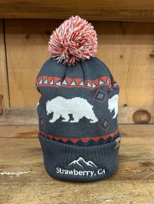 Gray Bear Beanie