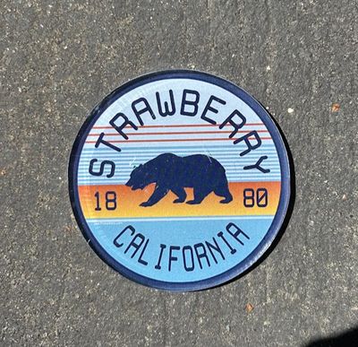 Bear Circle Magnet 2025