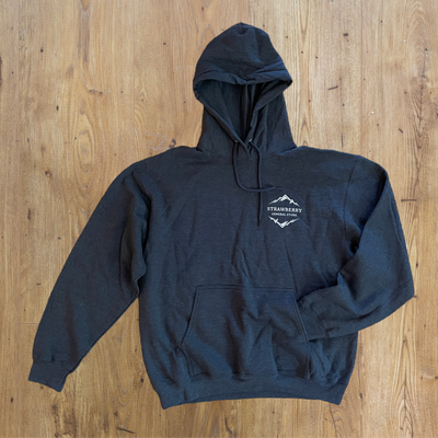 Store Hoodie Grey - 2X