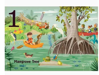 Trees Boardbook
