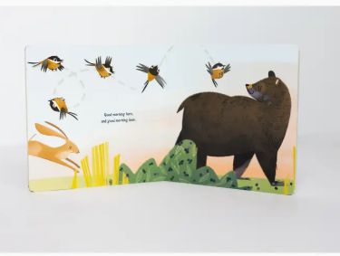 Good Morning Mother Nature (Board Book)